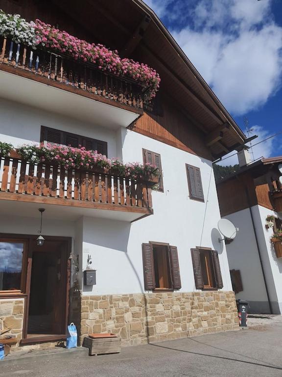 Casa Phoenix Appartamento Piano Terra Immerso Nel Verde A Pochi Minuti Dalla Ciclabile Pieve di Cadore Exteriér fotografie