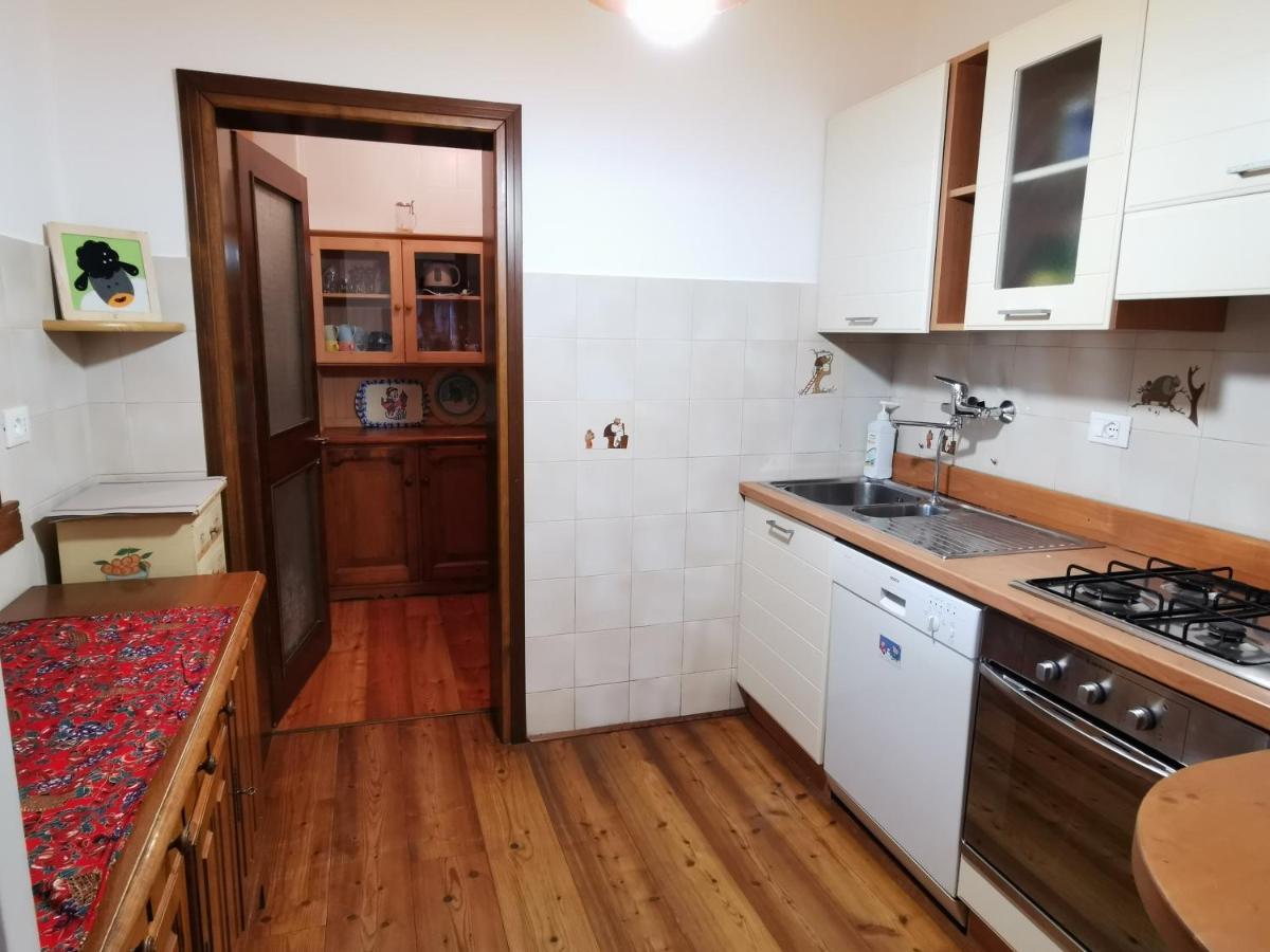 Casa Phoenix Appartamento Piano Terra Immerso Nel Verde A Pochi Minuti Dalla Ciclabile Pieve di Cadore Exteriér fotografie