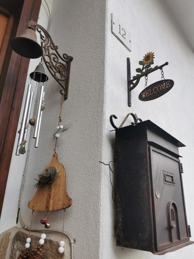 Casa Phoenix Appartamento Piano Terra Immerso Nel Verde A Pochi Minuti Dalla Ciclabile Pieve di Cadore Exteriér fotografie